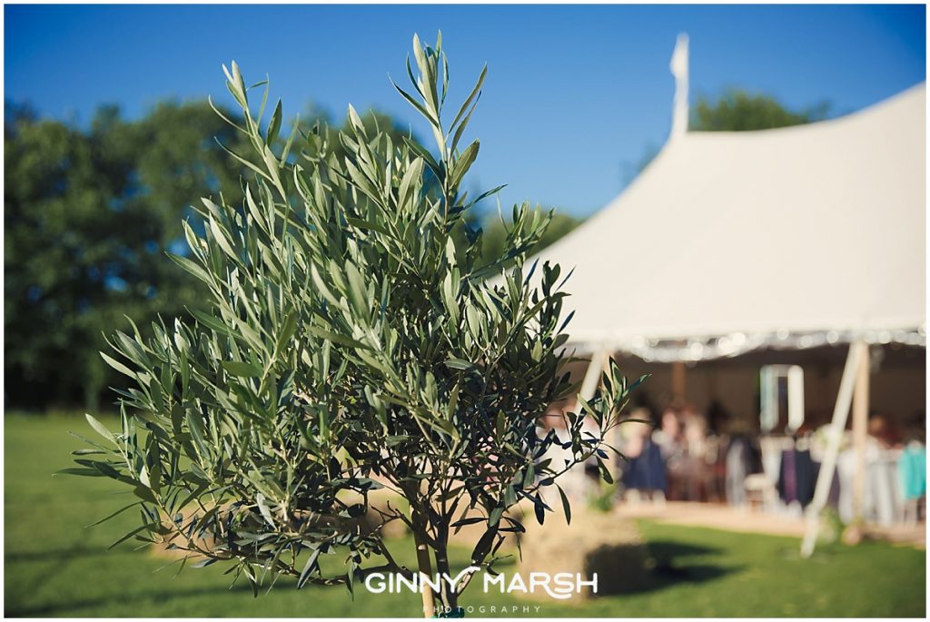 Marquee Wedding